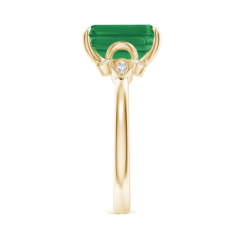 10x8mm AA Nature-Inspired Emerald-Cut Emerald Engagement Ring in Yellow Gold side 299