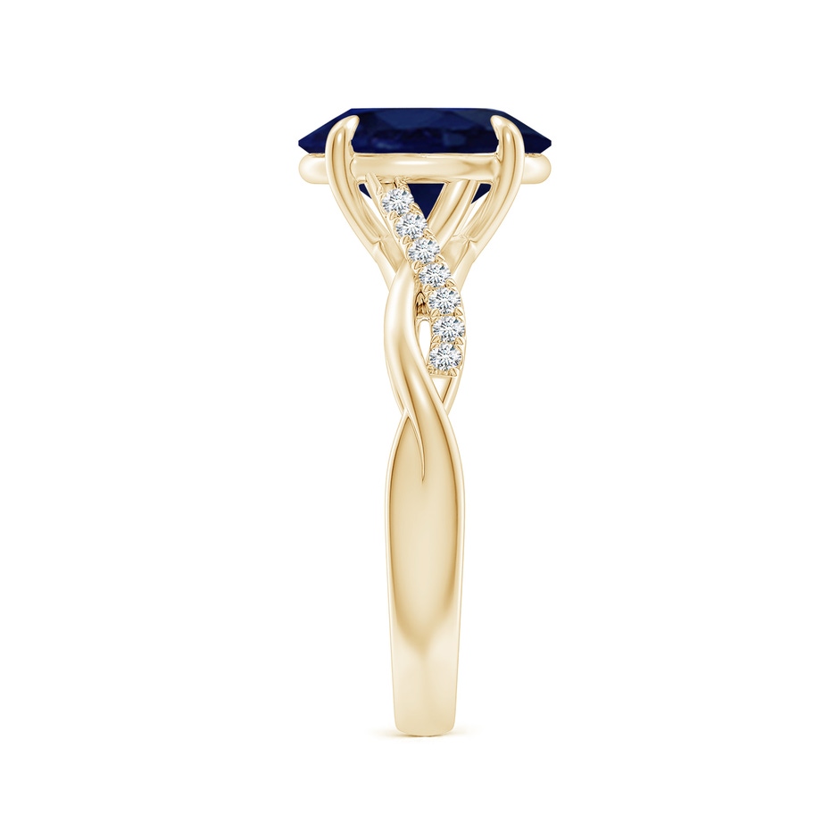 10x8mm A Oval Blue Sapphire Twisted Shank Engagement Ring in Yellow Gold side 299
