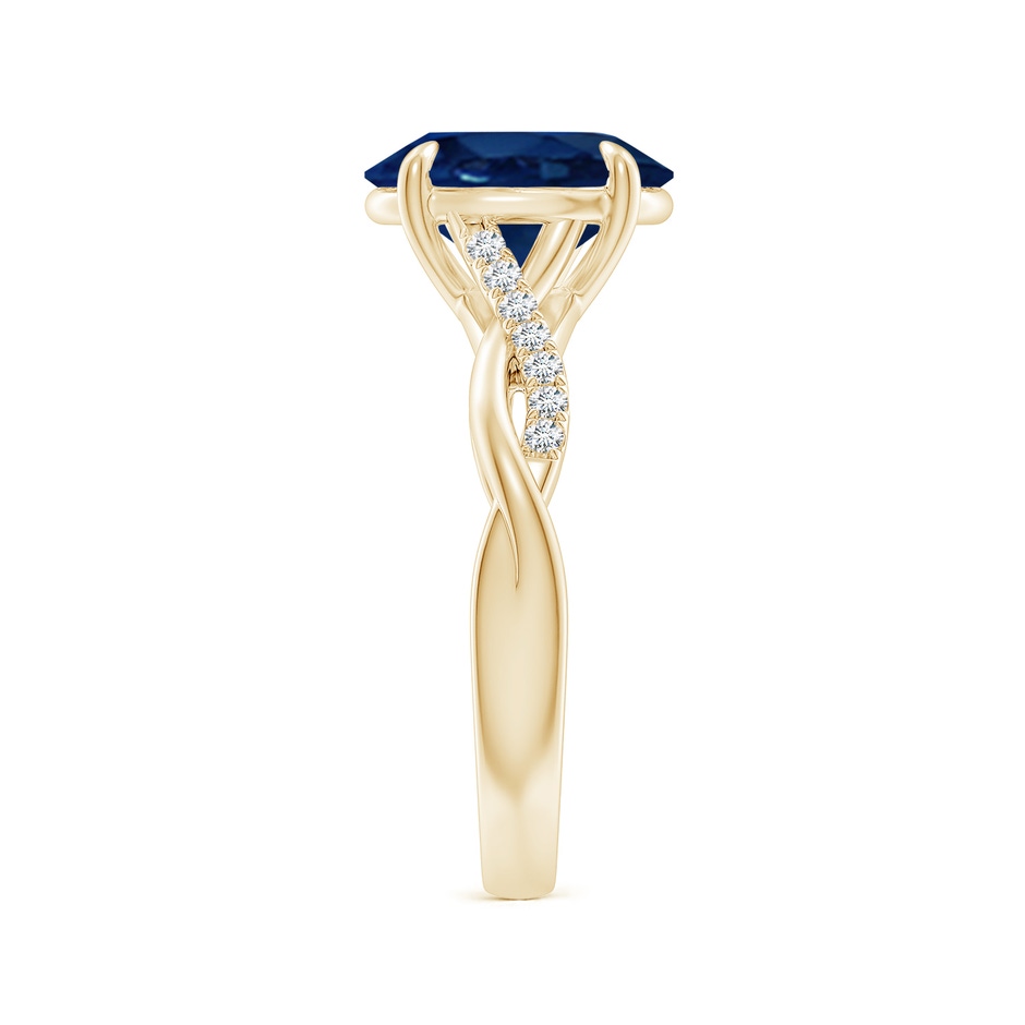10x8mm AA Oval Blue Sapphire Twisted Shank Engagement Ring in 18K Yellow Gold side 299