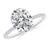 2 2/3 carats