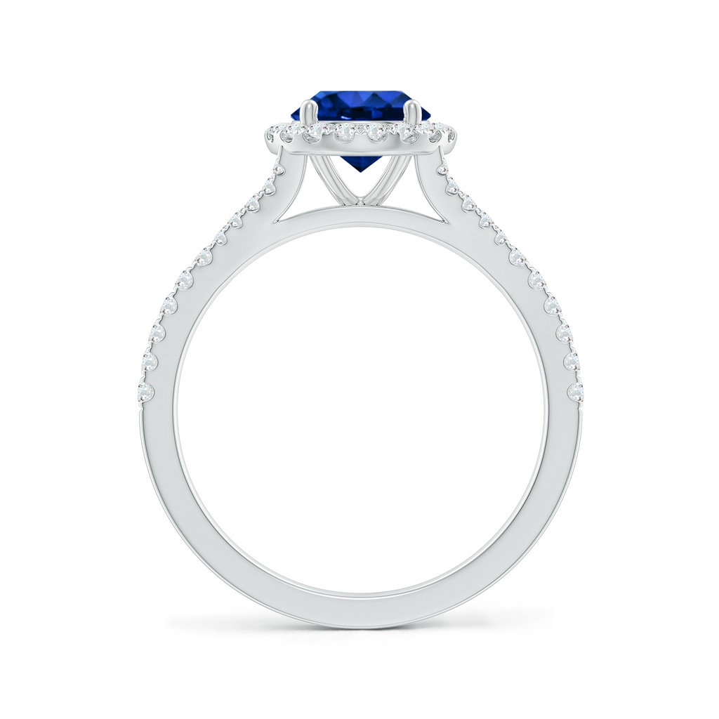 6.5mm AAAA Round Blue Sapphire Halo Split Shank Engagement Ring in P950 Platinum Side 199
