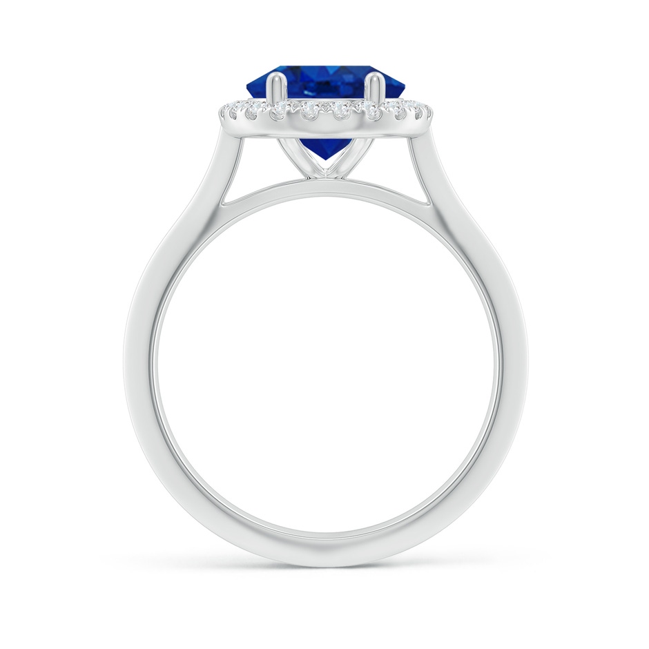 10x8mm AAA Oval Blue Sapphire Halo Knife-Edge Shank Engagement Ring in P950 Platinum side 199