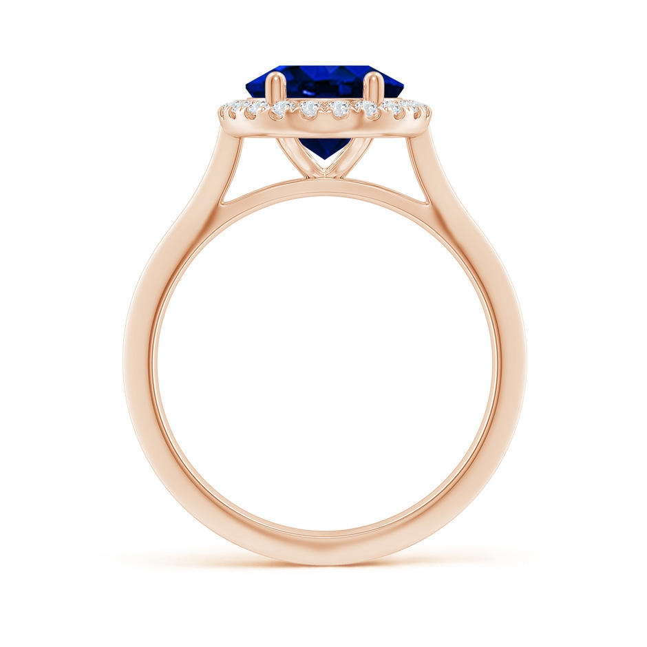 10x8mm AAAA Oval Blue Sapphire Halo Knife-Edge Shank Engagement Ring in Rose Gold side 199
