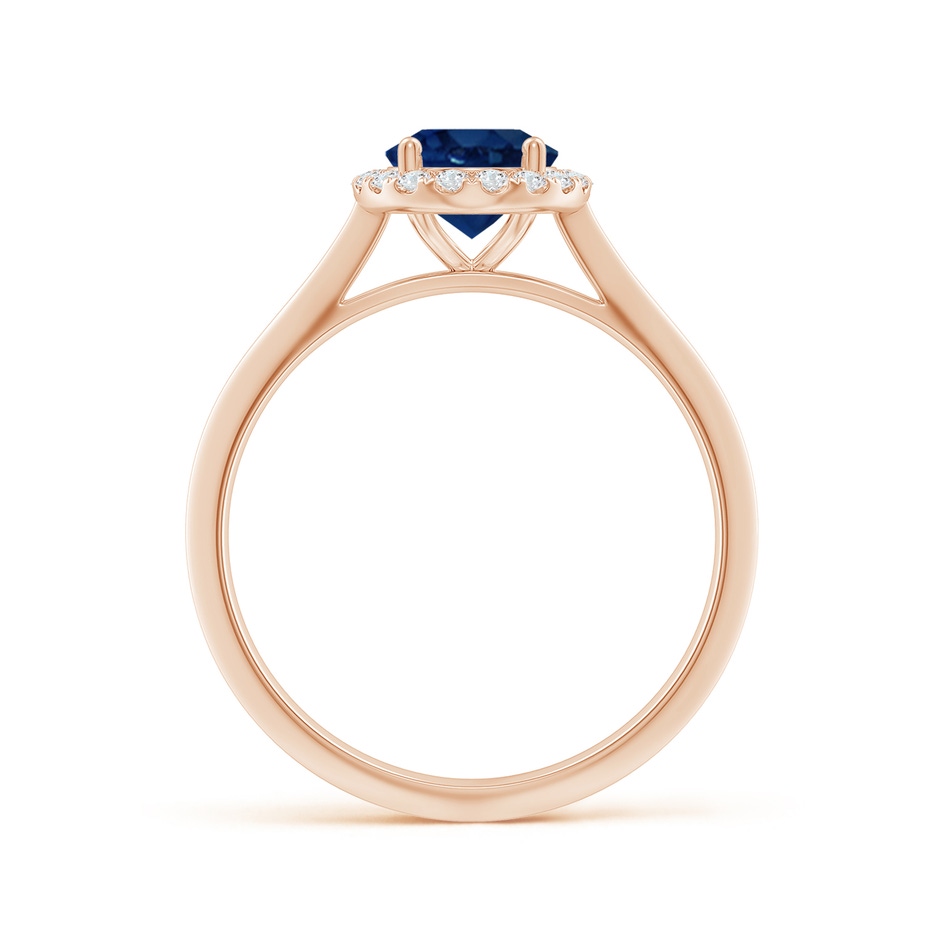 8x6mm AA Oval Blue Sapphire Halo Knife-Edge Shank Engagement Ring in Rose Gold side 199