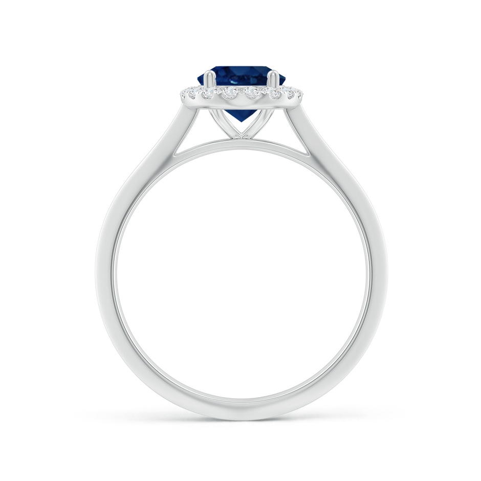 8x6mm AA Oval Blue Sapphire Halo Knife-Edge Shank Engagement Ring in White Gold side 199