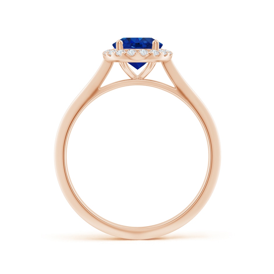 8x6mm AAA Oval Blue Sapphire Halo Knife-Edge Shank Engagement Ring in Rose Gold side 199