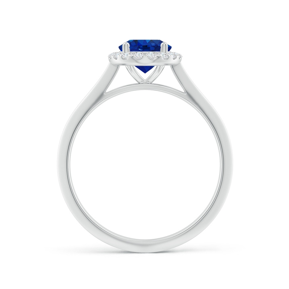 8x6mm AAA Oval Blue Sapphire Halo Knife-Edge Shank Engagement Ring in White Gold side 199