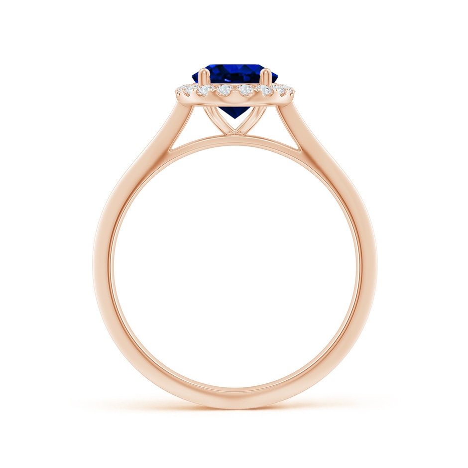 8x6mm AAAA Oval Blue Sapphire Halo Knife-Edge Shank Engagement Ring in Rose Gold side 199