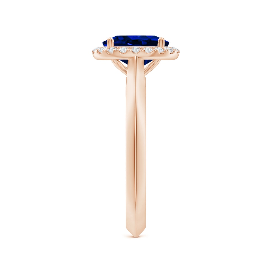 8x6mm AAAA Oval Blue Sapphire Halo Knife-Edge Shank Engagement Ring in Rose Gold side 299
