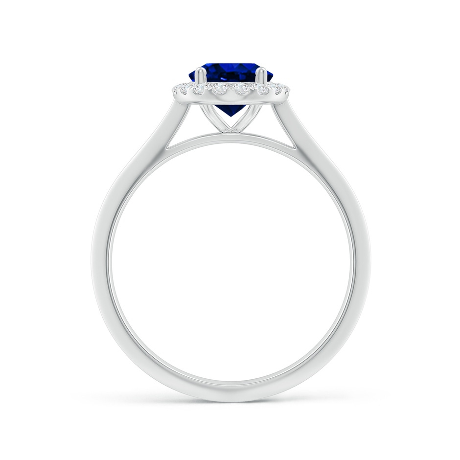 8x6mm AAAA Oval Blue Sapphire Halo Knife-Edge Shank Engagement Ring in White Gold side 199