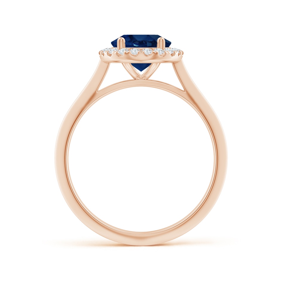 9x7mm AA Oval Blue Sapphire Halo Knife-Edge Shank Engagement Ring in Rose Gold side 199