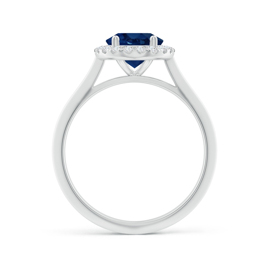9x7mm AA Oval Blue Sapphire Halo Knife-Edge Shank Engagement Ring in White Gold side 199