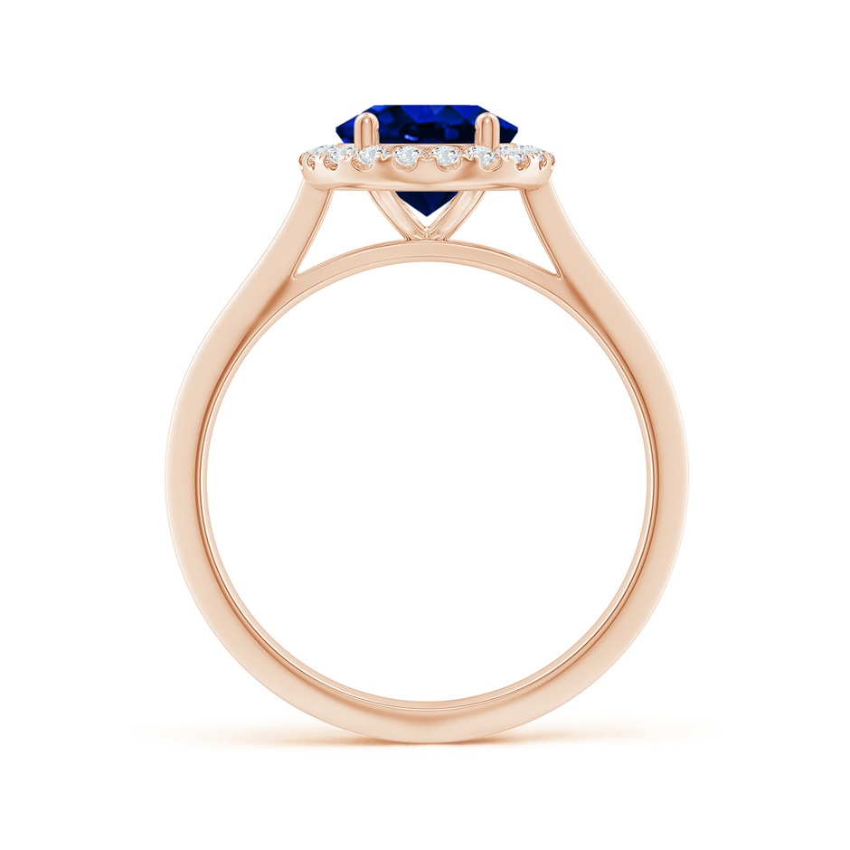 9x7mm AAAA Oval Blue Sapphire Halo Knife-Edge Shank Engagement Ring in Rose Gold side 199