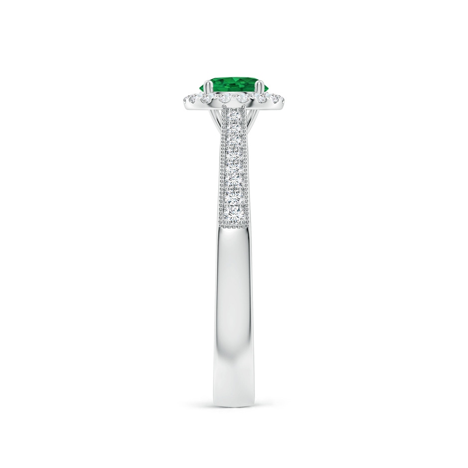 5mm AAA Round Emerald Reverse Tapered Shank Halo Engagement Ring in P950 Platinum side 299