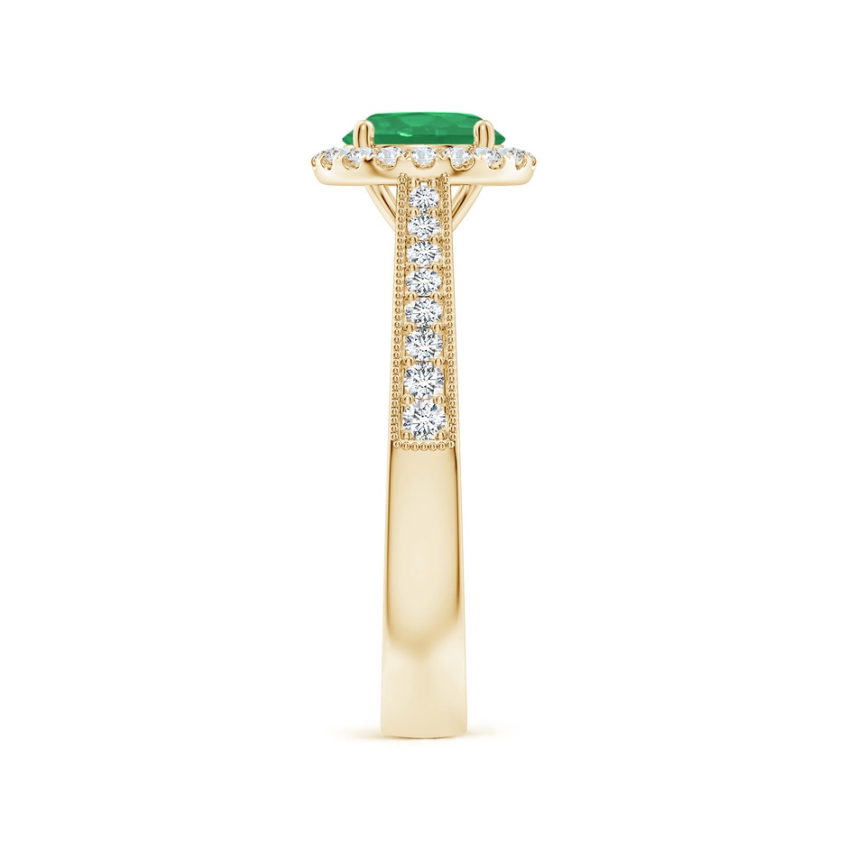 6.5mm A Round Emerald Reverse Tapered Shank Halo Engagement Ring in Yellow Gold side 299