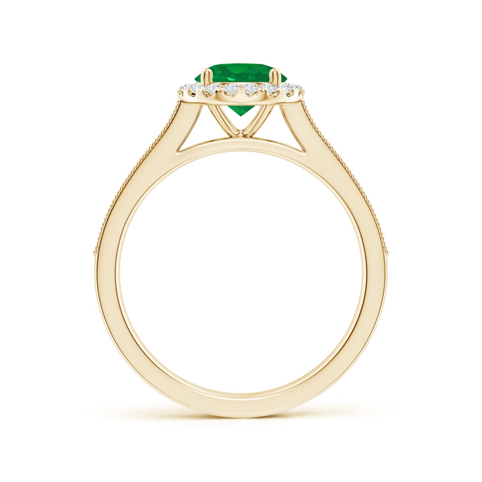 6.5mm AA Round Emerald Reverse Tapered Shank Halo Engagement Ring in Yellow Gold side 199