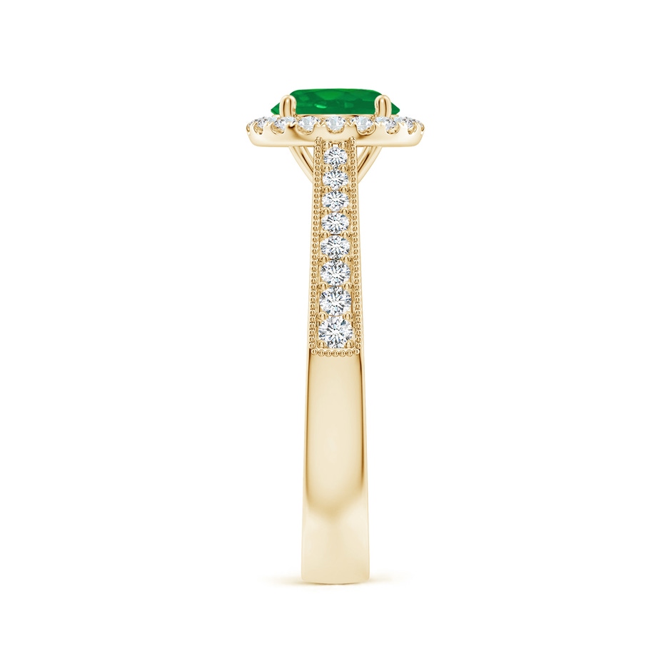 6.5mm AA Round Emerald Reverse Tapered Shank Halo Engagement Ring in Yellow Gold side 299