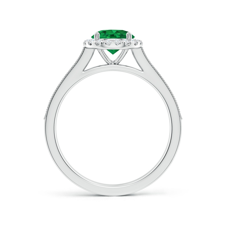 6.5mm AAA Round Emerald Reverse Tapered Shank Halo Engagement Ring in P950 Platinum side 199