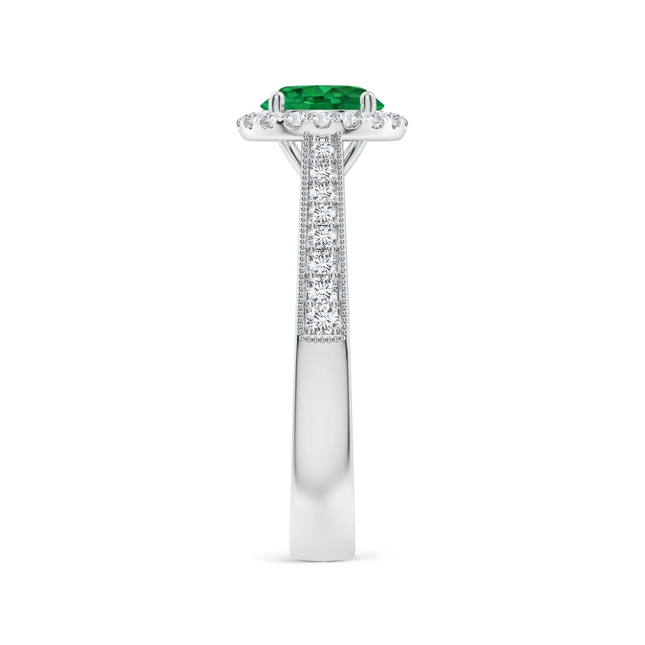 6.5mm AAA Round Emerald Reverse Tapered Shank Halo Engagement Ring in P950 Platinum side 299