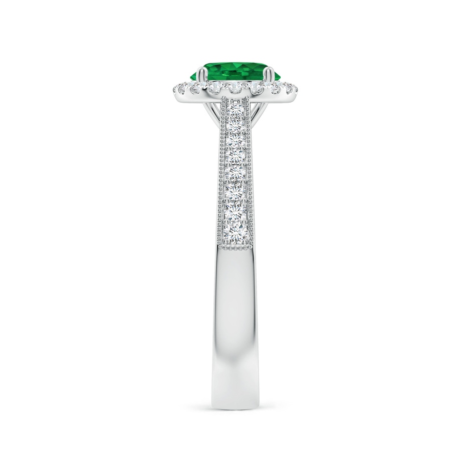 6.5mm AAA Round Emerald Reverse Tapered Shank Halo Engagement Ring in White Gold side 299