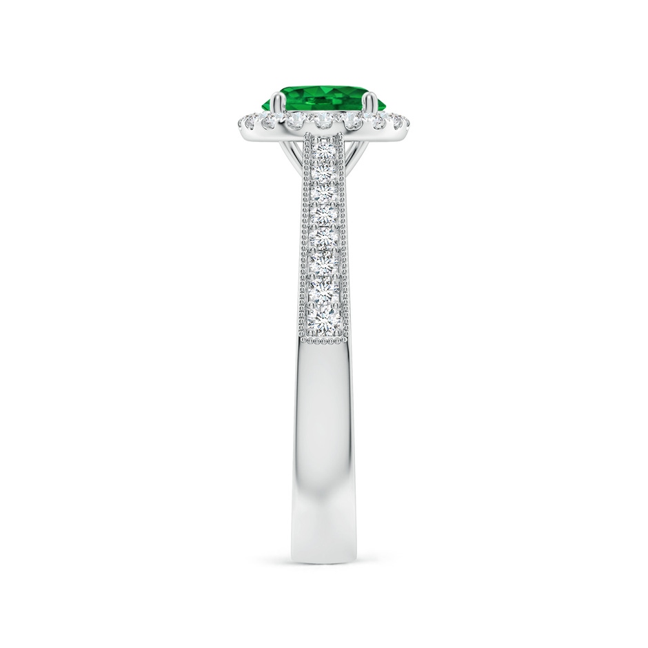 6.5mm AAAA Round Emerald Reverse Tapered Shank Halo Engagement Ring in White Gold side 299