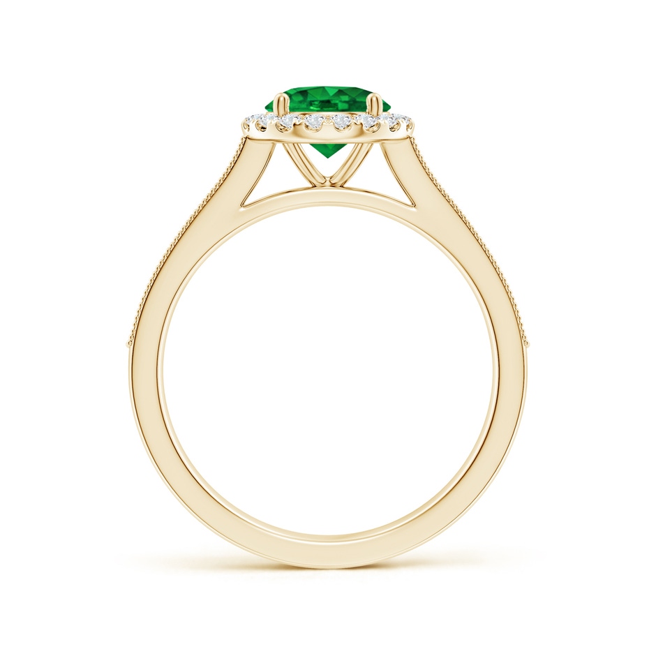 6.5mm AAAA Round Emerald Reverse Tapered Shank Halo Engagement Ring in Yellow Gold side 199