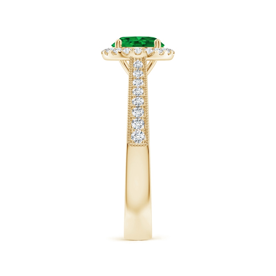 6.5mm AAAA Round Emerald Reverse Tapered Shank Halo Engagement Ring in Yellow Gold side 299