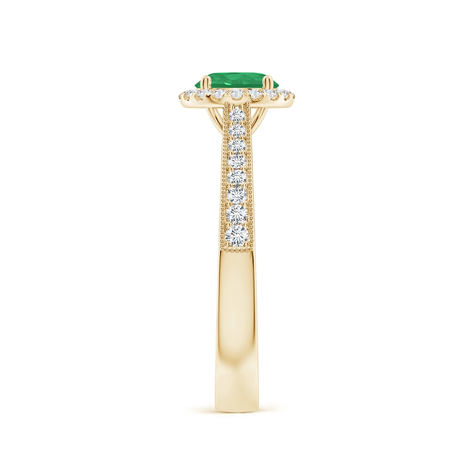 6mm A Round Emerald Reverse Tapered Shank Halo Engagement Ring in Yellow Gold side 299
