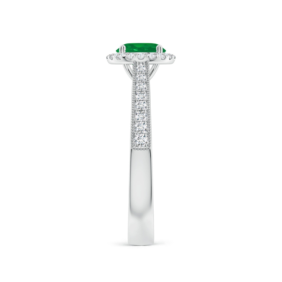 6mm AA Round Emerald Reverse Tapered Shank Halo Engagement Ring in P950 Platinum side 299