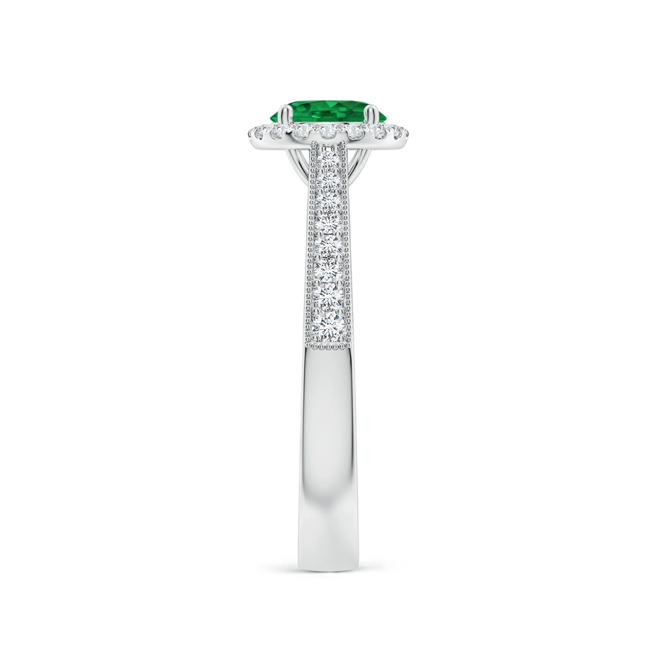 6mm AAA Round Emerald Reverse Tapered Shank Halo Engagement Ring in P950 Platinum side 299