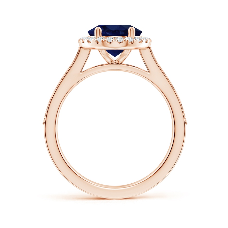 10x8mm A Oval Blue Sapphire Reverse Tapered Shank Halo Engagement Ring in Rose Gold side 199