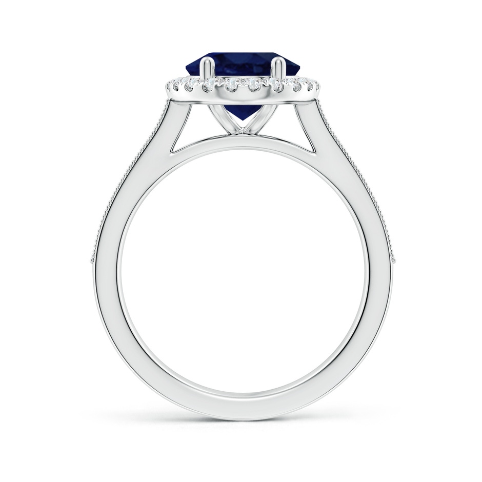 10x8mm A Oval Blue Sapphire Reverse Tapered Shank Halo Engagement Ring in White Gold side 199