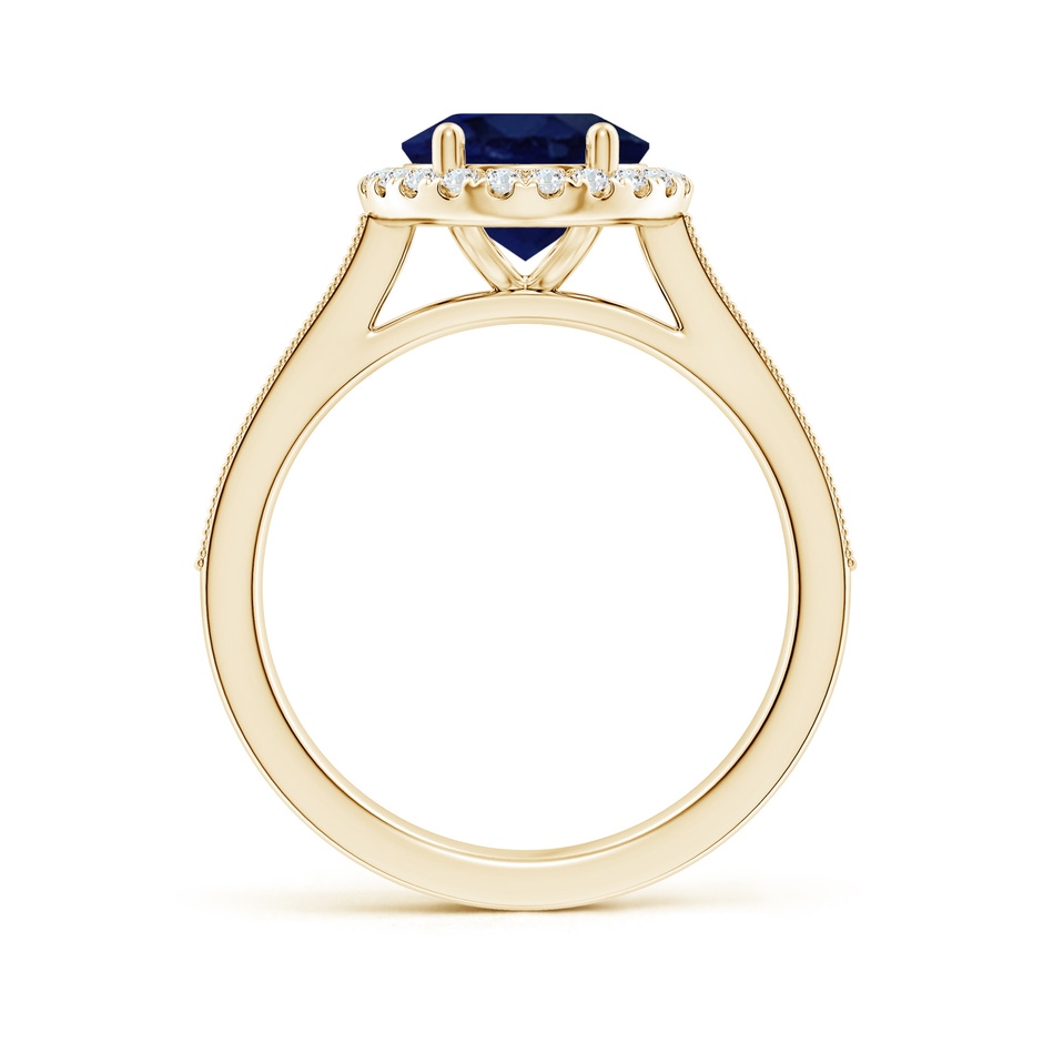 10x8mm A Oval Blue Sapphire Reverse Tapered Shank Halo Engagement Ring in Yellow Gold side 199