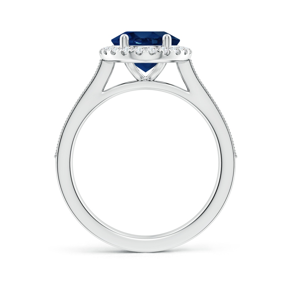 10x8mm AA Oval Blue Sapphire Reverse Tapered Shank Halo Engagement Ring in P950 Platinum side 199