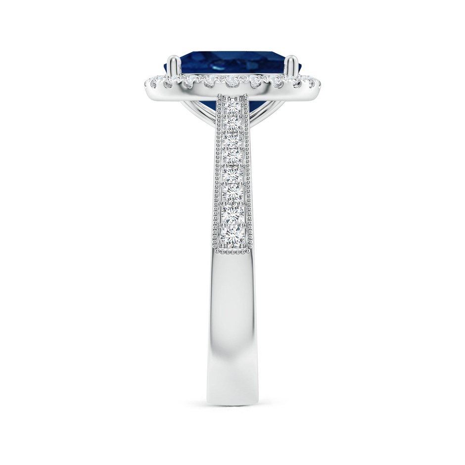 10x8mm AA Oval Blue Sapphire Reverse Tapered Shank Halo Engagement Ring in P950 Platinum side 299