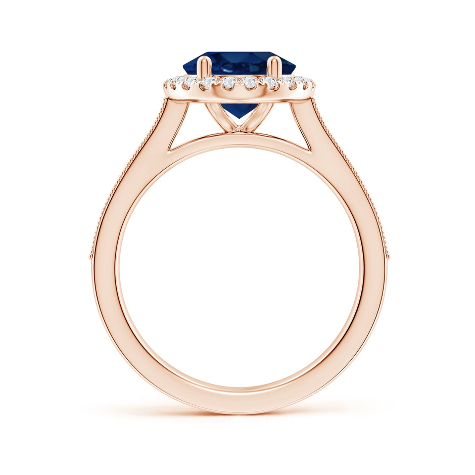 10x8mm AA Oval Blue Sapphire Reverse Tapered Shank Halo Engagement Ring in Rose Gold side 199