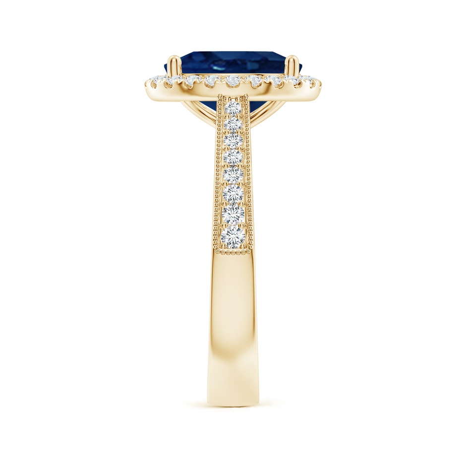 10x8mm AA Oval Blue Sapphire Reverse Tapered Shank Halo Engagement Ring in Yellow Gold side 299