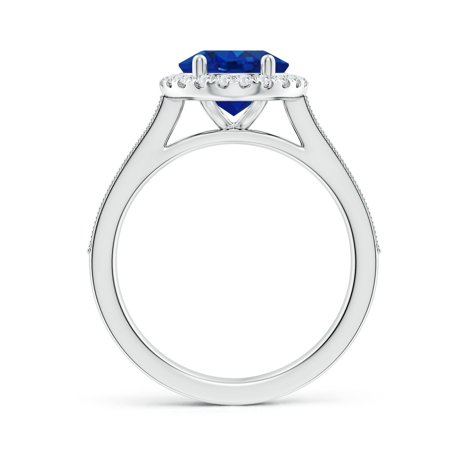 10x8mm AAA Oval Blue Sapphire Reverse Tapered Shank Halo Engagement Ring in P950 Platinum side 199