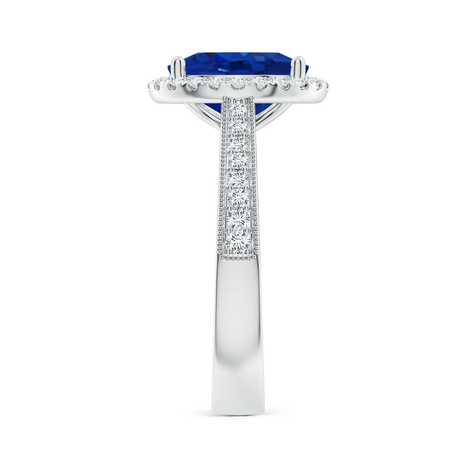 10x8mm AAA Oval Blue Sapphire Reverse Tapered Shank Halo Engagement Ring in P950 Platinum side 299