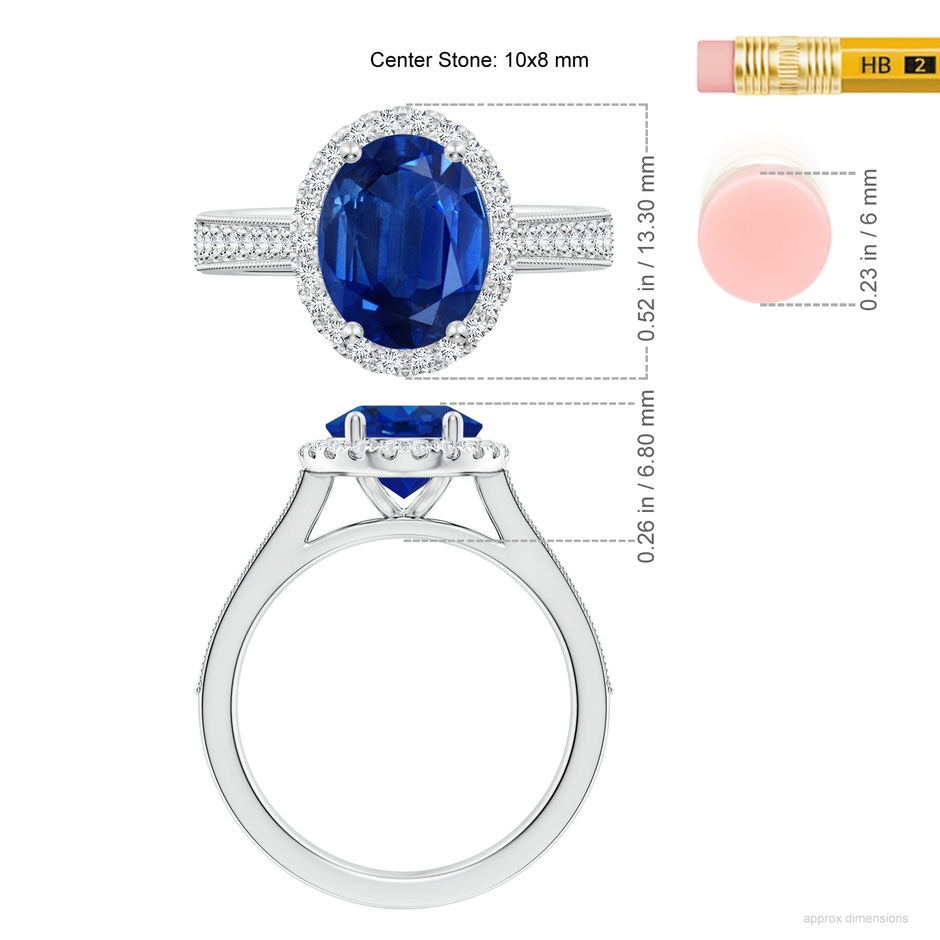 10x8mm AAA Oval Blue Sapphire Reverse Tapered Shank Halo Engagement Ring in P950 Platinum ruler