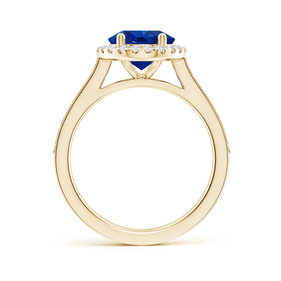 10x8mm AAA Oval Blue Sapphire Reverse Tapered Shank Halo Engagement Ring in Yellow Gold side 199