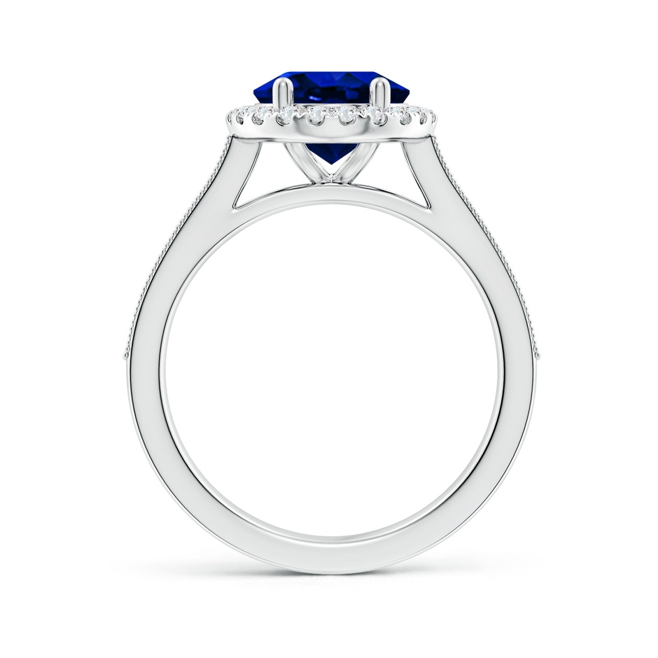 10x8mm AAAA Oval Blue Sapphire Reverse Tapered Shank Halo Engagement Ring in White Gold side 199