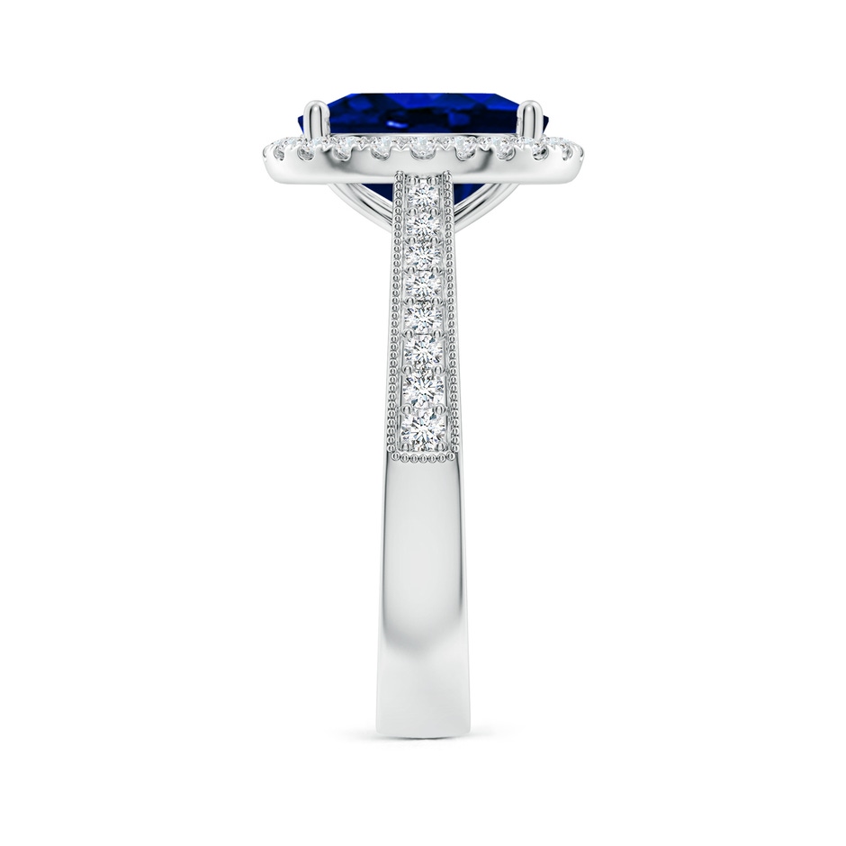 10x8mm AAAA Oval Blue Sapphire Reverse Tapered Shank Halo Engagement Ring in White Gold side 299