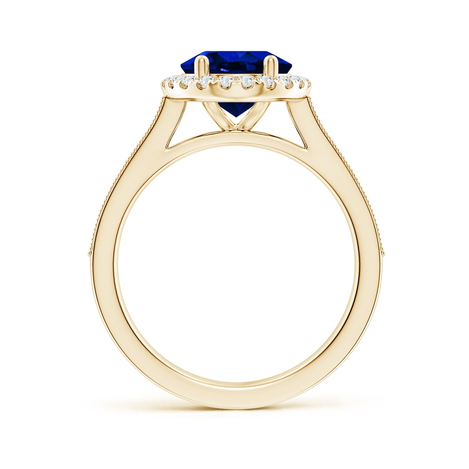 10x8mm AAAA Oval Blue Sapphire Reverse Tapered Shank Halo Engagement Ring in Yellow Gold side 199