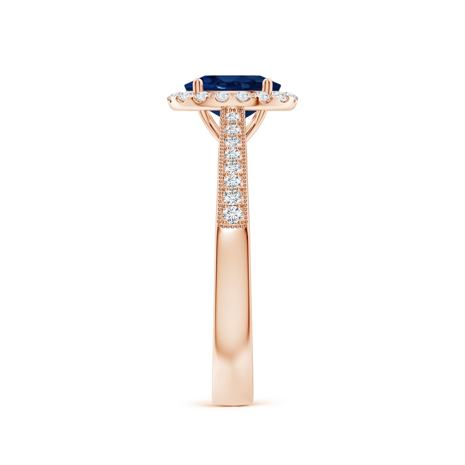 7x5mm AA Oval Blue Sapphire Reverse Tapered Shank Halo Engagement Ring in Rose Gold side 299