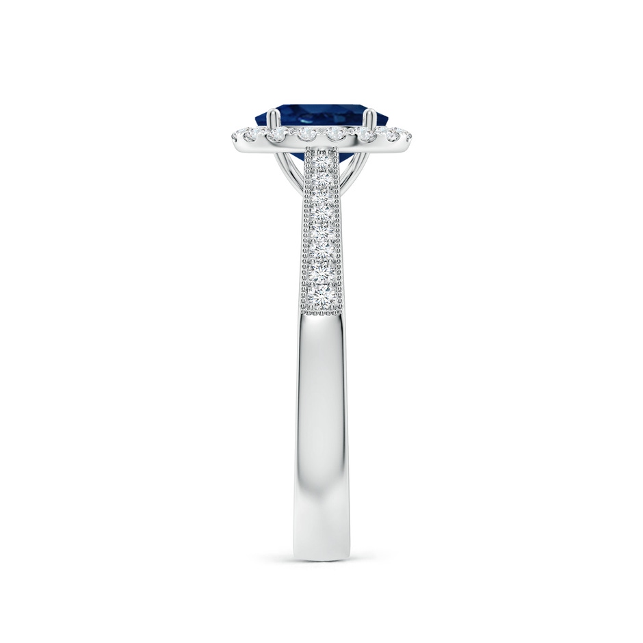 7x5mm AA Oval Blue Sapphire Reverse Tapered Shank Halo Engagement Ring in White Gold side 299