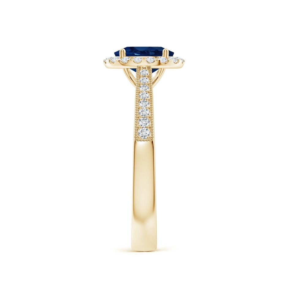 7x5mm AA Oval Blue Sapphire Reverse Tapered Shank Halo Engagement Ring in Yellow Gold side 299