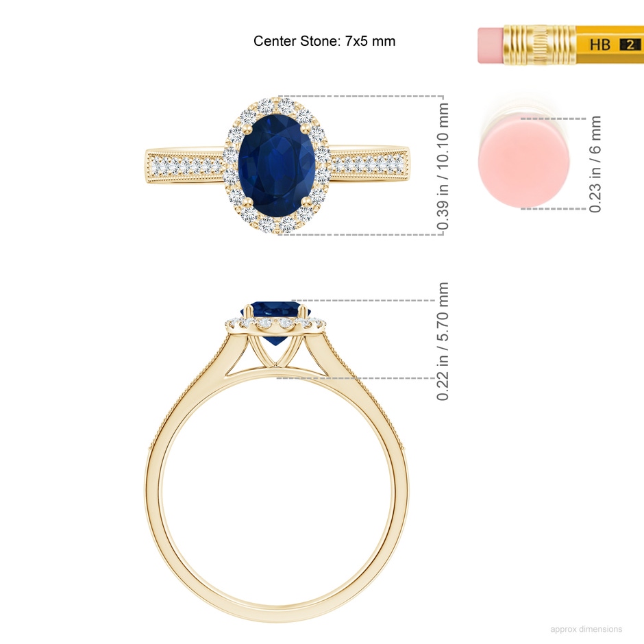 7x5mm AA Oval Blue Sapphire Reverse Tapered Shank Halo Engagement Ring in Yellow Gold ruler