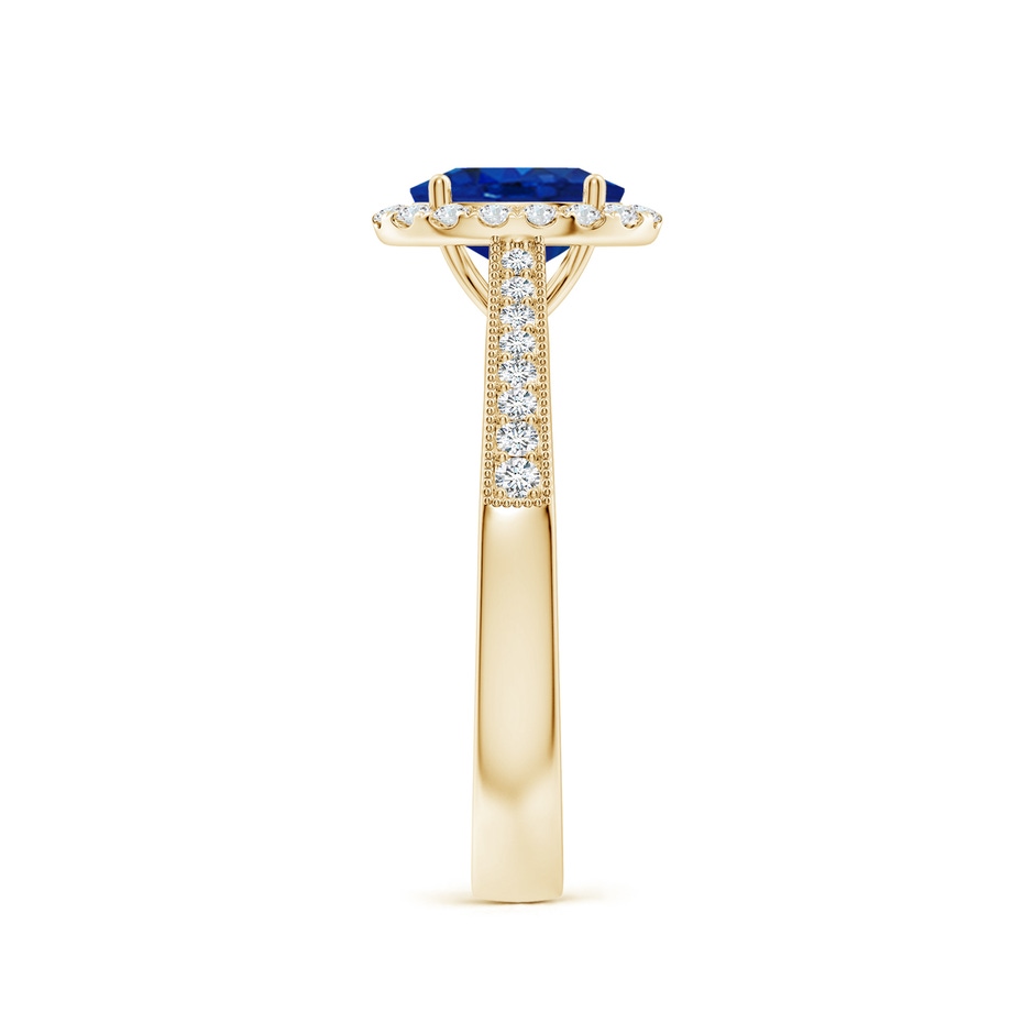 7x5mm AAA Oval Blue Sapphire Reverse Tapered Shank Halo Engagement Ring in 9K Yellow Gold side 299