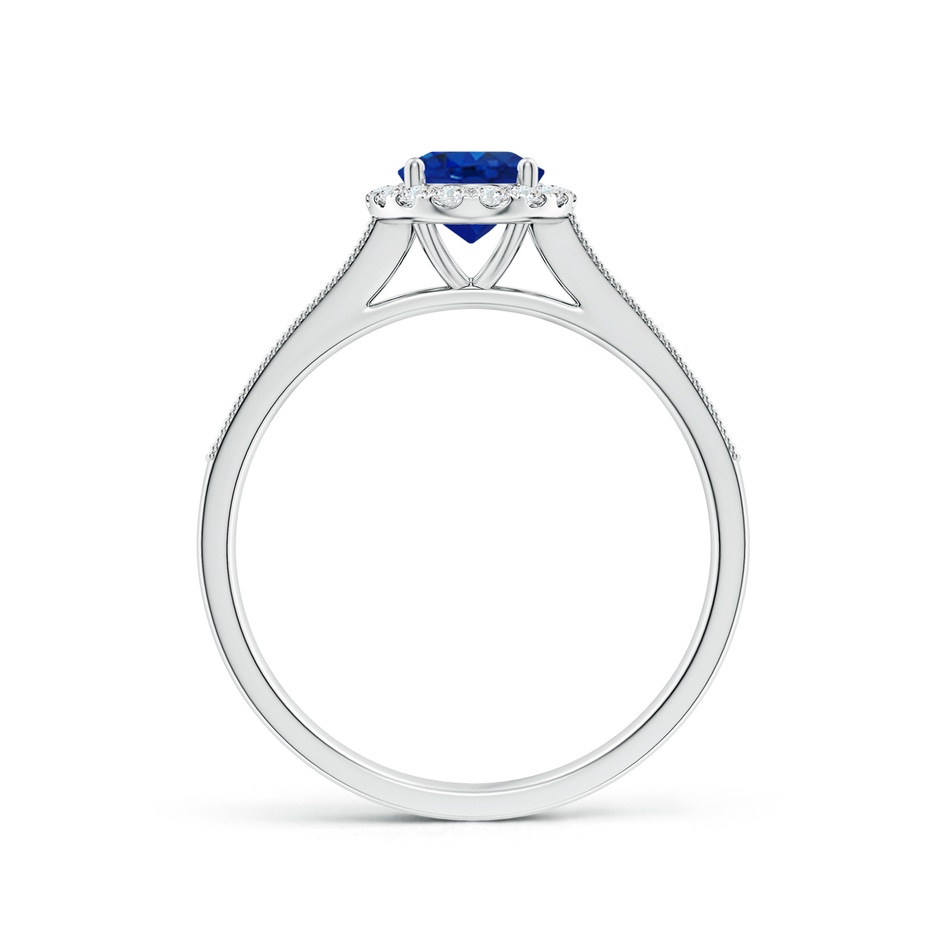 7x5mm AAA Oval Blue Sapphire Reverse Tapered Shank Halo Engagement Ring in P950 Platinum side 199